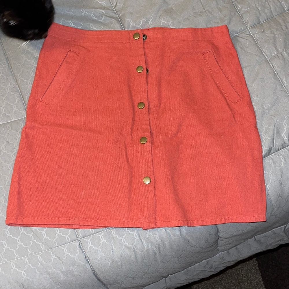 franchescas button up skirt